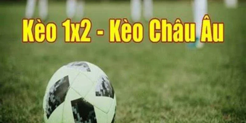 Cách bắt kèo cược 1x2 chi tiết từ chuyên gia